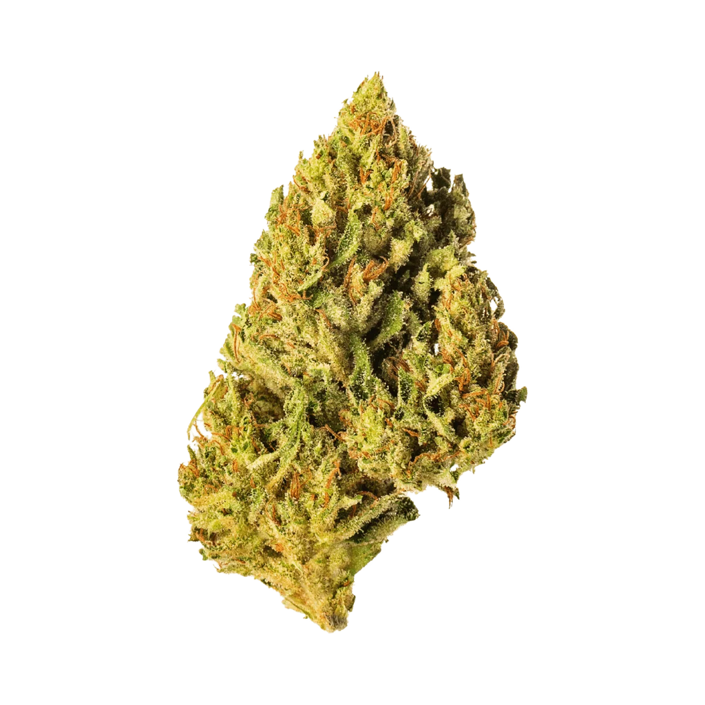 Amnesia Haze - Greenhouse - Crunch Trim