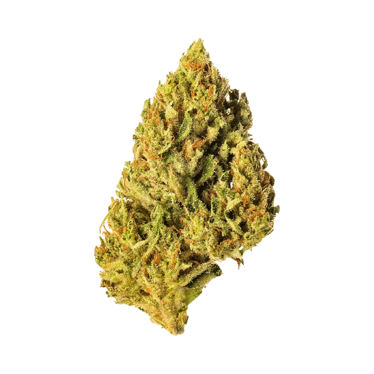 Amnesia Haze - Greenhouse - Crunch Trim