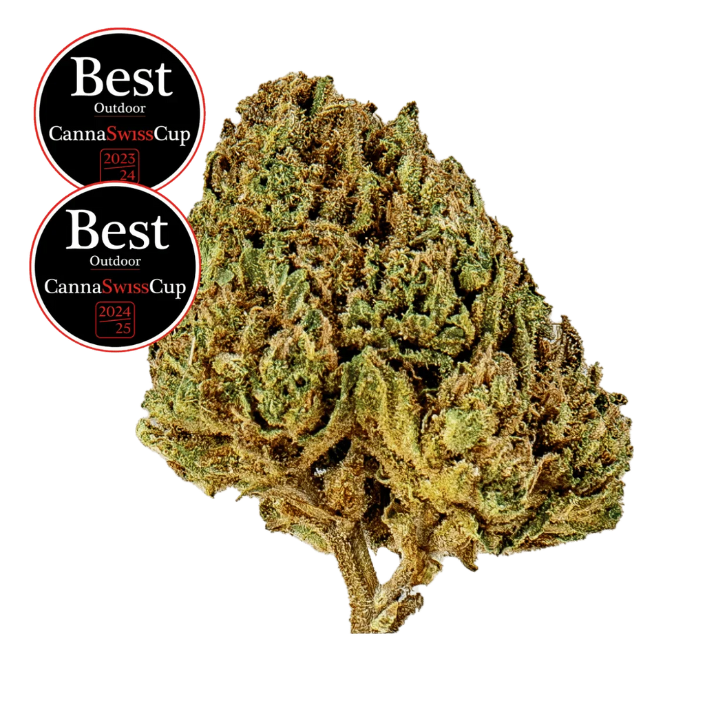 Saparot - Outdoor - Crunch Trim