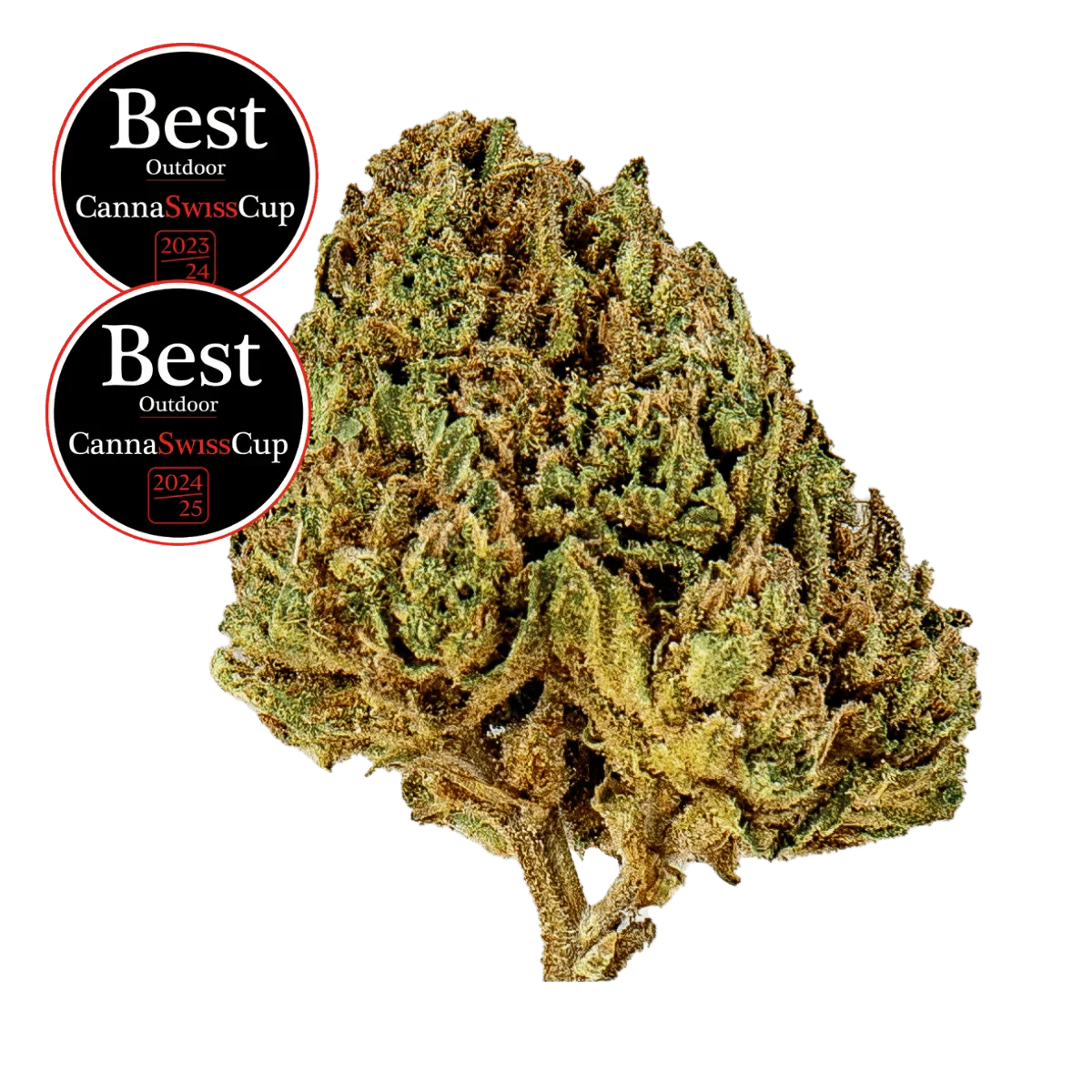 Saparot - Outdoor - Crunch Trim