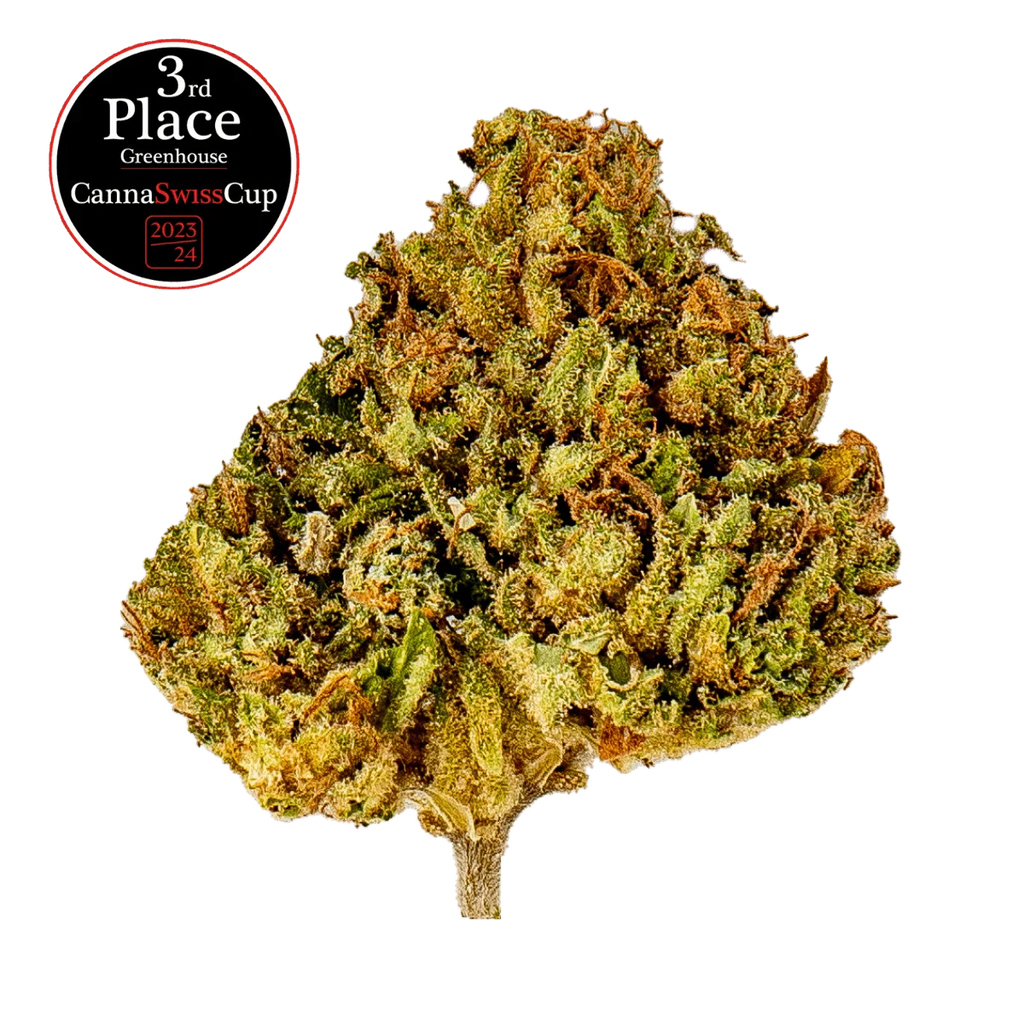 Durban Poison - Greenhouse