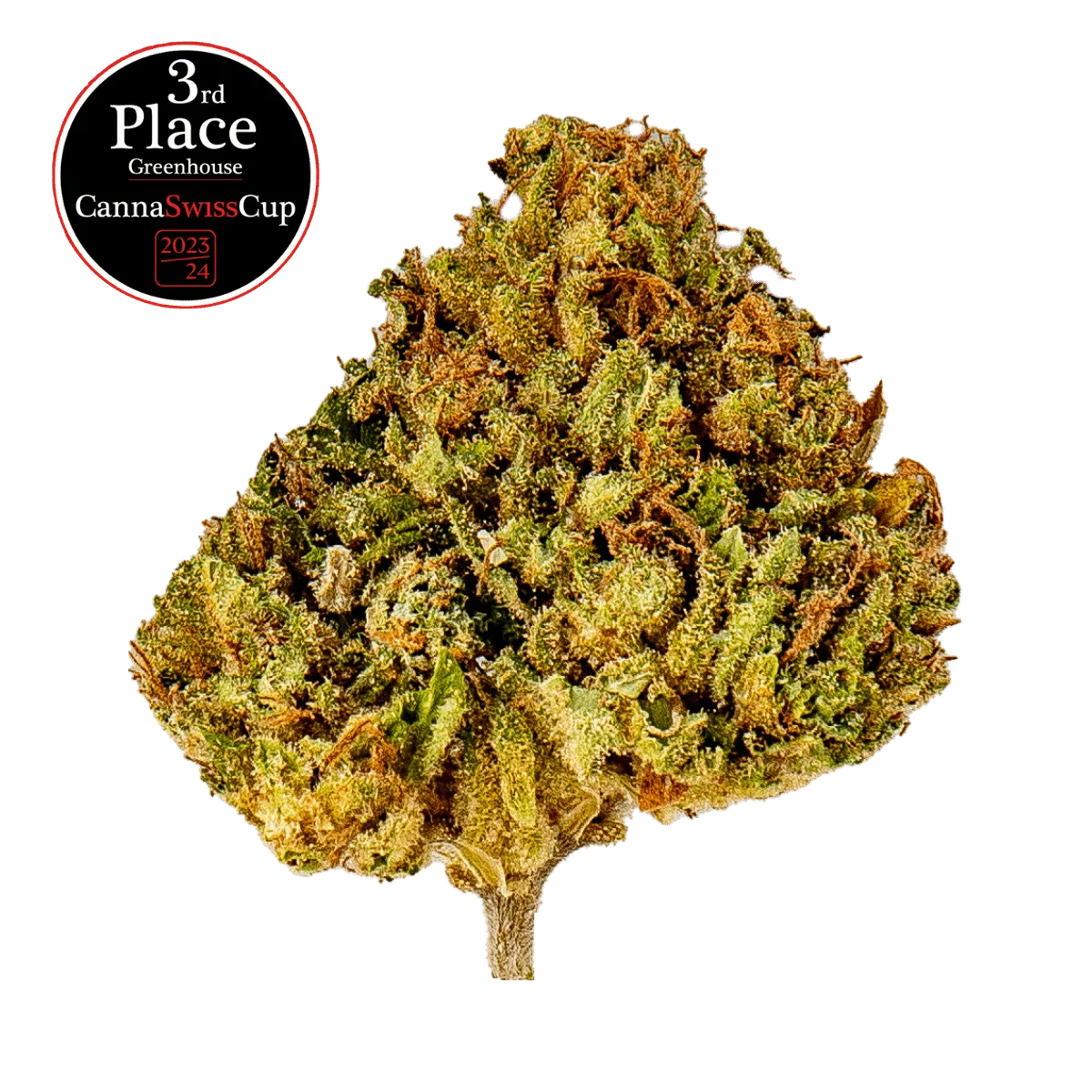 Durban Poison - Greenhouse - Crunch Trim