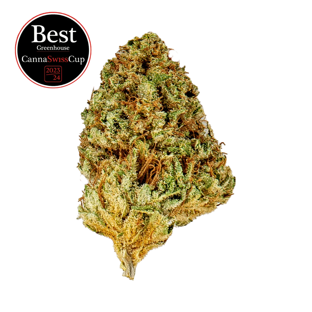 Limoncello - Greenhouse - Crunch Trim