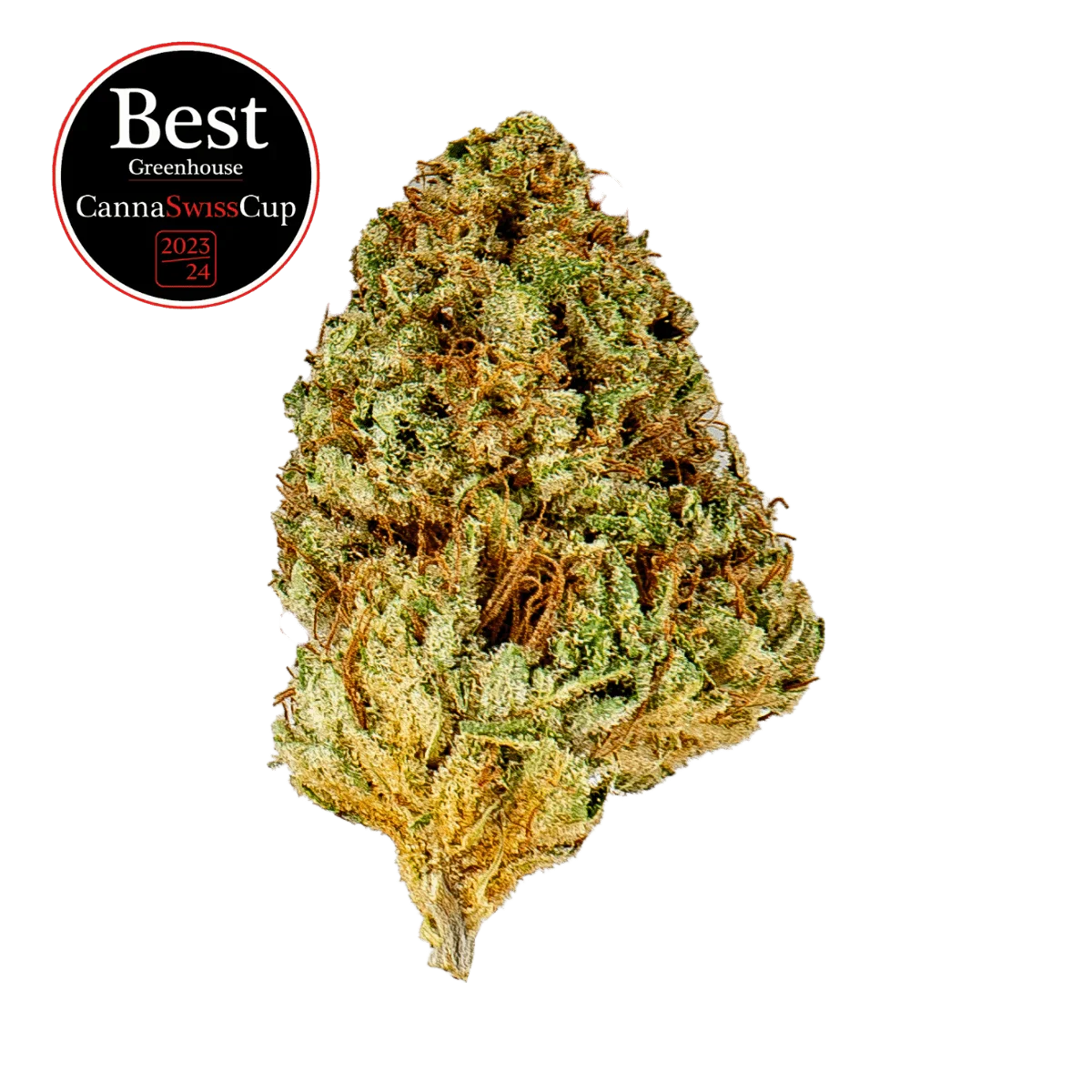 Limoncello - Greenhouse - Crunch Trim