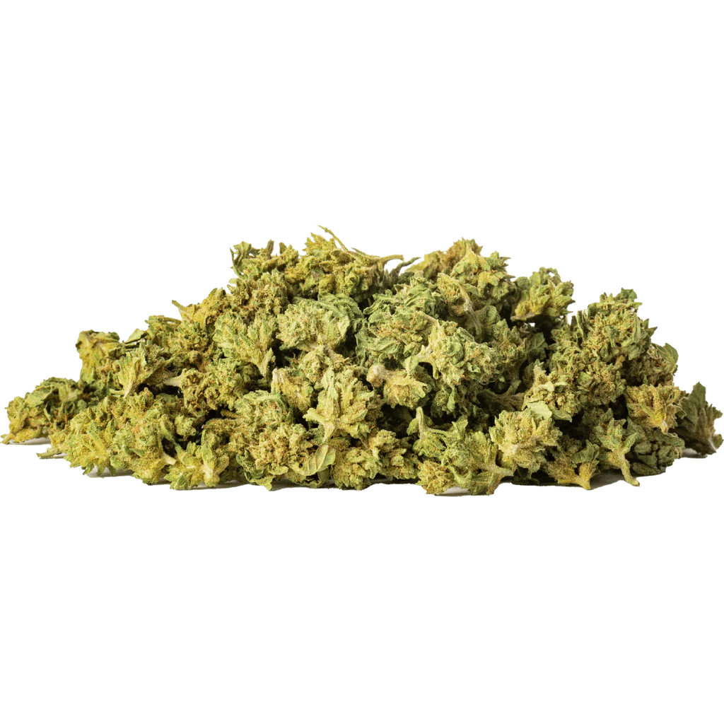 Saparot - Outdoor - Small Buds