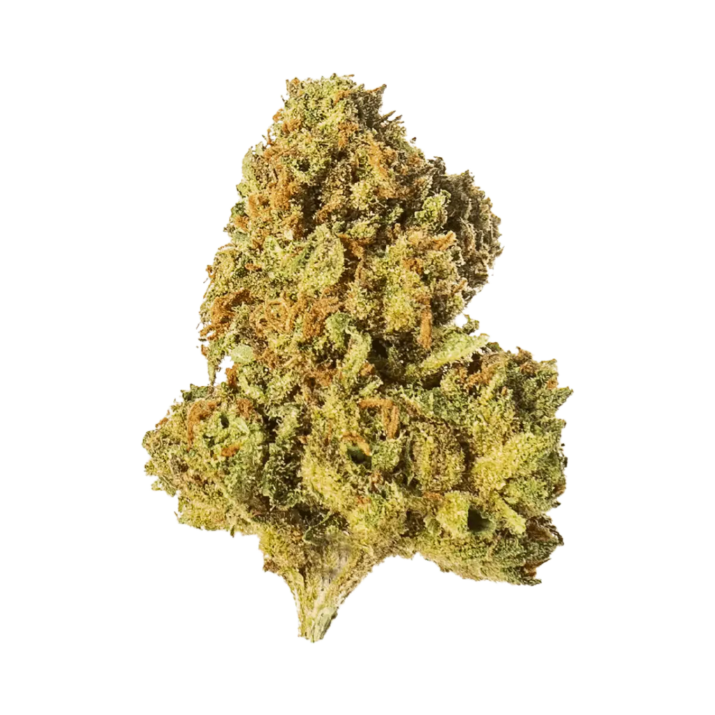 Tangerine Dream - Outdoor - Crunch Trim