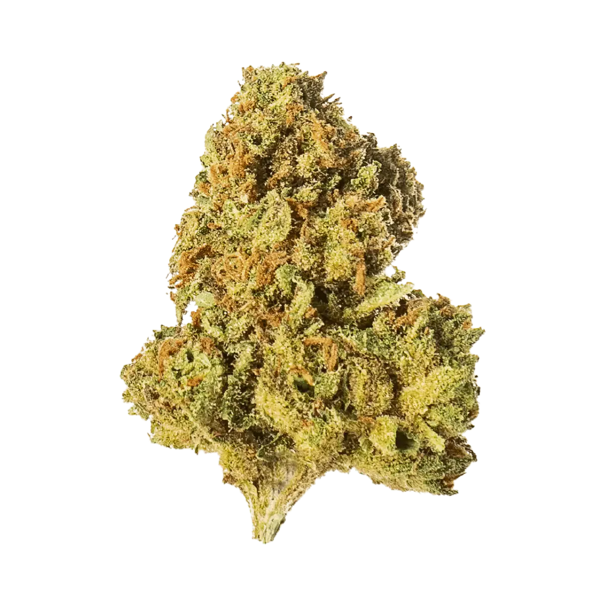 Tangerine Dream - Outdoor - Crunch Trim