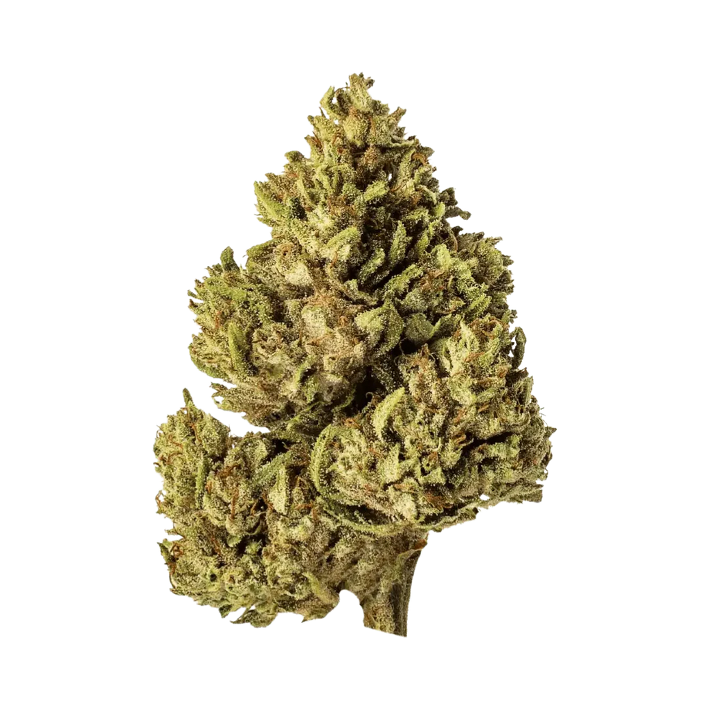 White Rhino CBG - Outdoor
