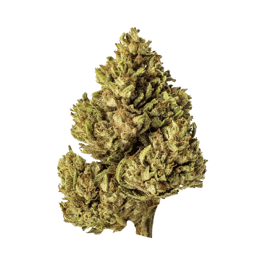 White Rhino CBG - Outdoor
